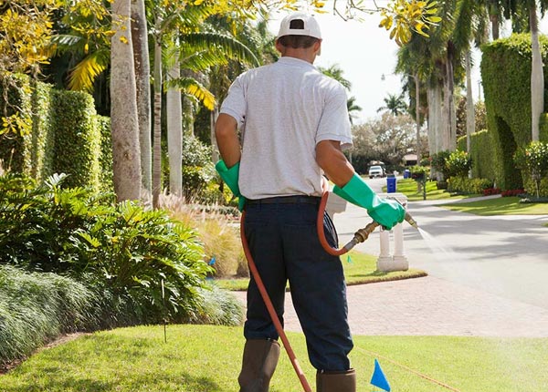 About Morris CT Pest Control Pros